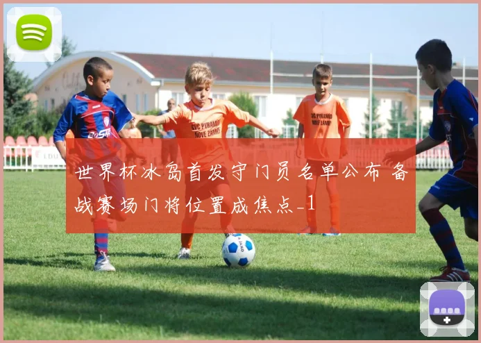世界杯冰岛首发守门员名单公布 备战赛场门将位置成焦点_1