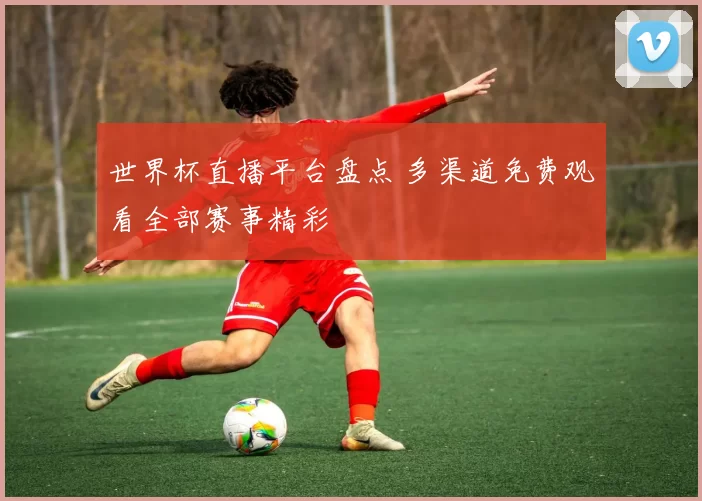 世界杯直播平台盘点 多渠道免费观看全部赛事精彩