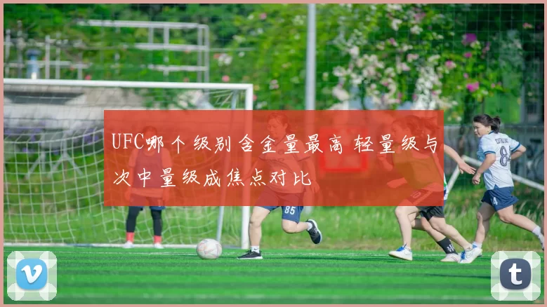 UFC哪个级别含金量最高 轻量级与次中量级成焦点对比
