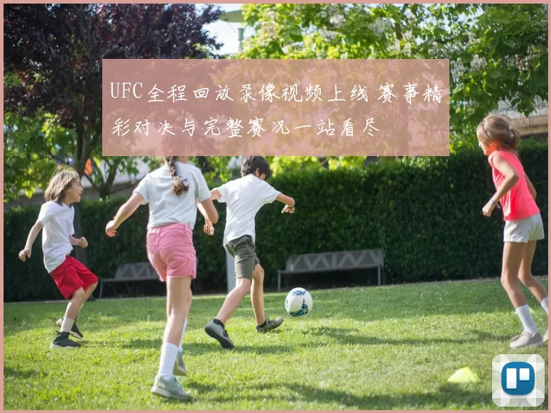 UFC全程回放录像视频上线 赛事精彩对决与完整赛况一站看尽