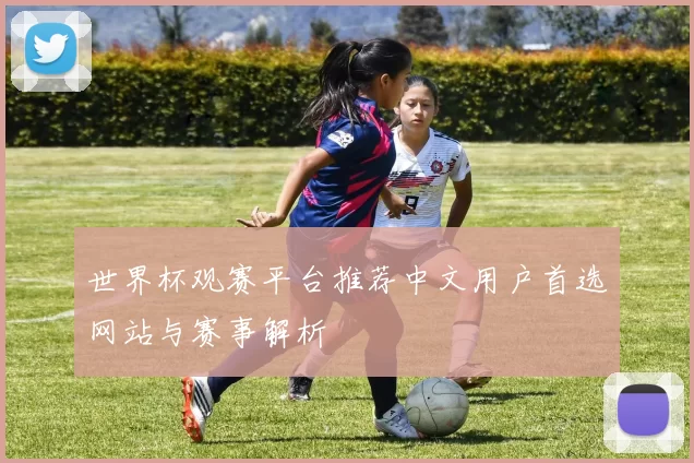 世界杯观赛平台推荐中文用户首选网站与赛事解析