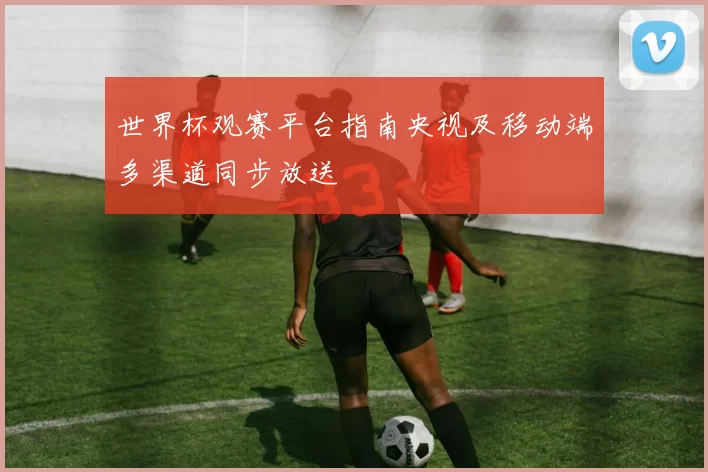 世界杯观赛平台指南央视及移动端多渠道同步放送