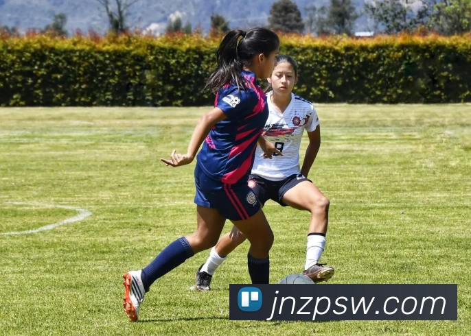 星空体育官网登录平台品牌故事